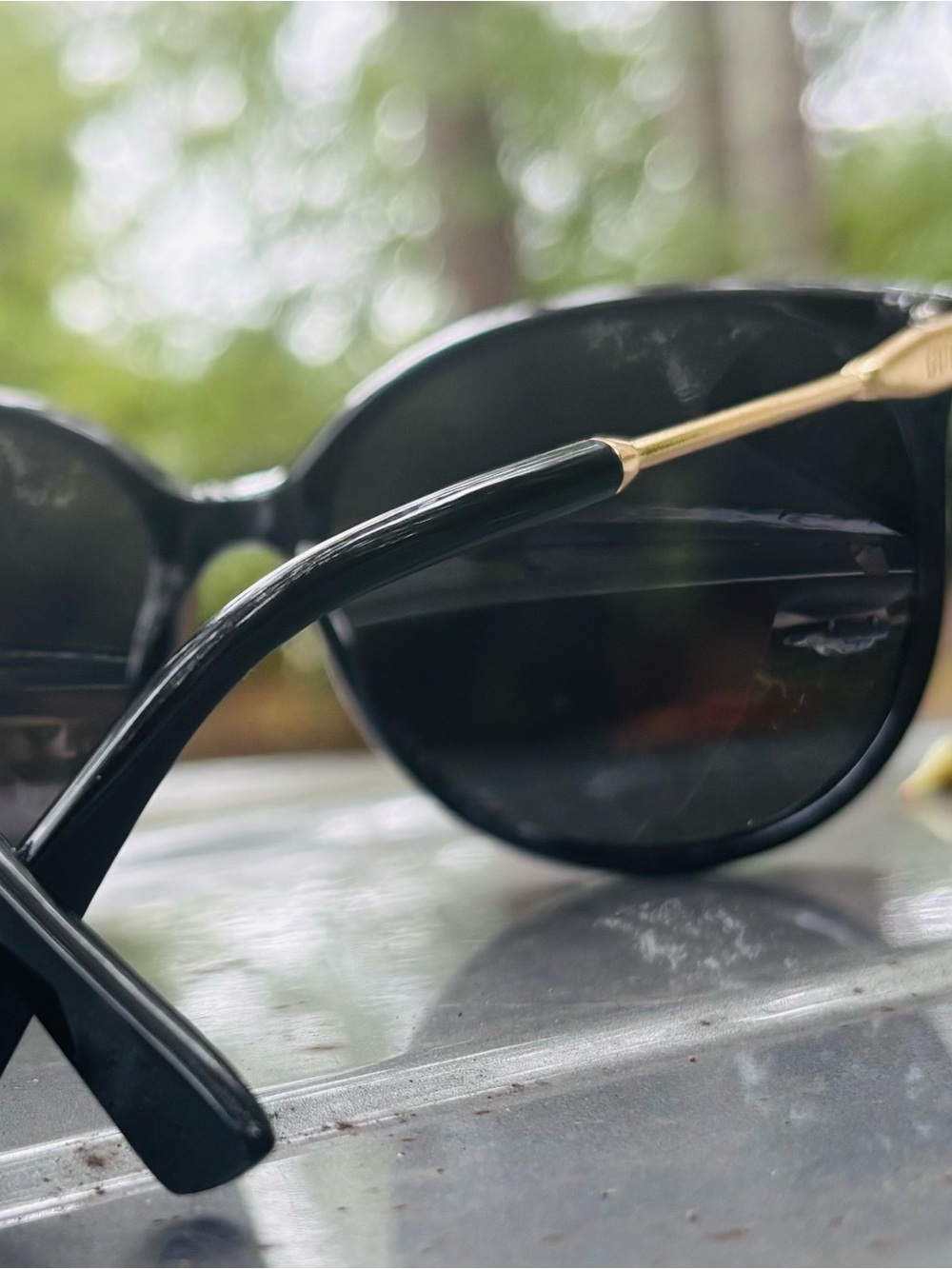 Classic Black Polarized Women’s Sunglasses with Gold Accents